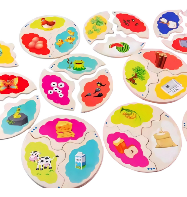 Rompecabezas Para Niños Ciclos Evolutivos Montessori