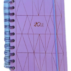 Agenda Planner 2025 Doble Espiral Tapa Dura Linea Colores