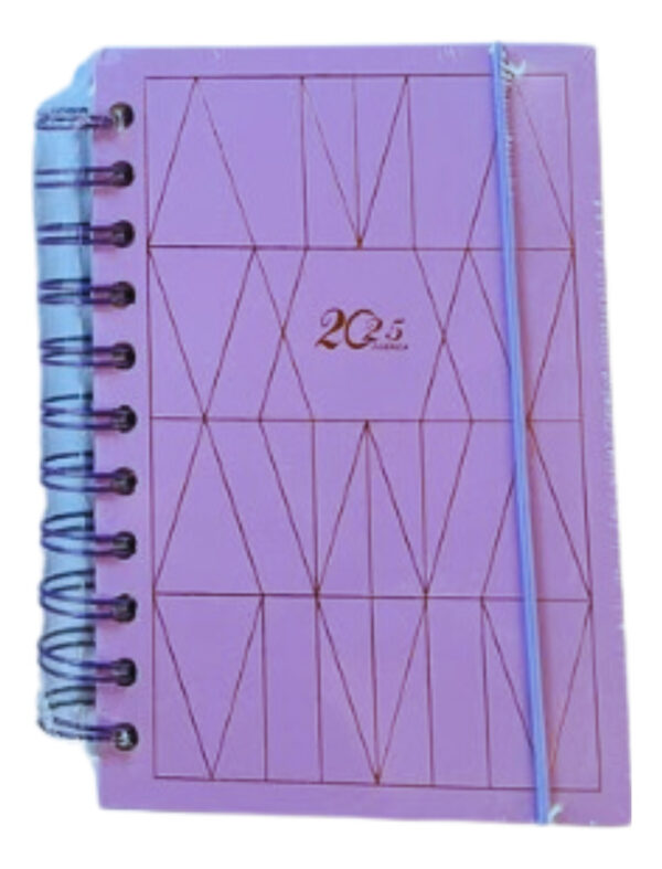Agenda Planner 2025 Doble Espiral Tapa Dura Linea Colores