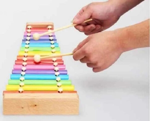 Xilofono Didáctico De Madera 15 Notas Musical Educativo - Imagen 3