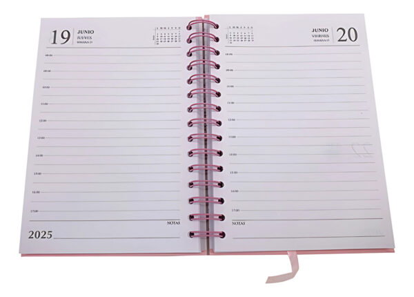 Agenda Planner 2025 Doble Espiral Tapa Dura Linea Colores - Imagen 5